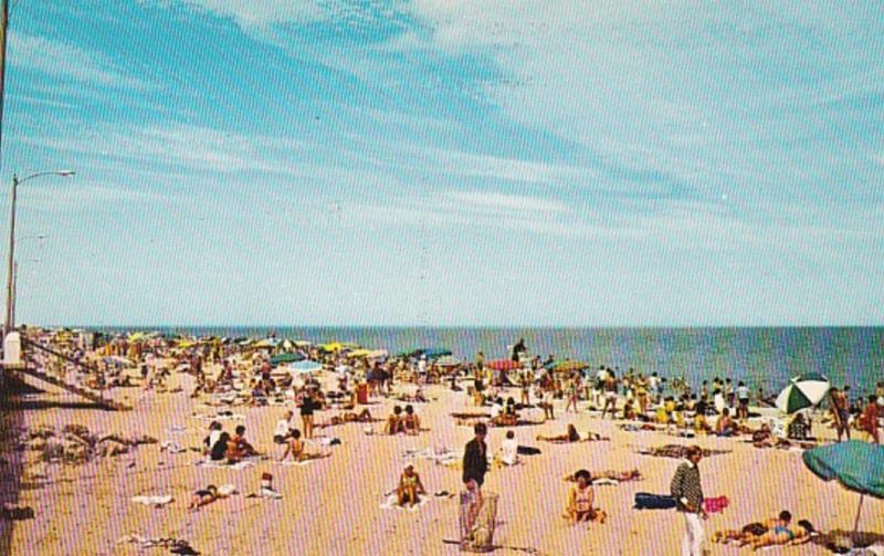 Delaware Greetings From Rehoboth Beach Sunbathers