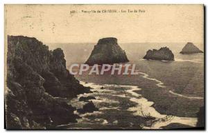 Old Postcard Presqu'ile de Crozon 39ile Tas de Pois