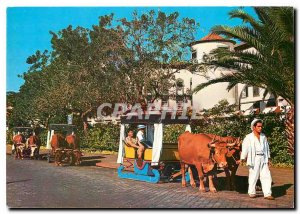 Modern Postcard Madeira Funchal Portugal Transporte Tipico