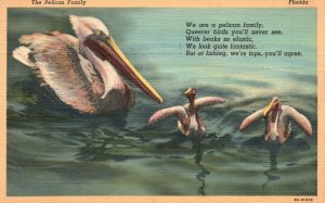 Vintage Postcard 1944 Pelican Family Queerer Birds You'll Never See With Beaks