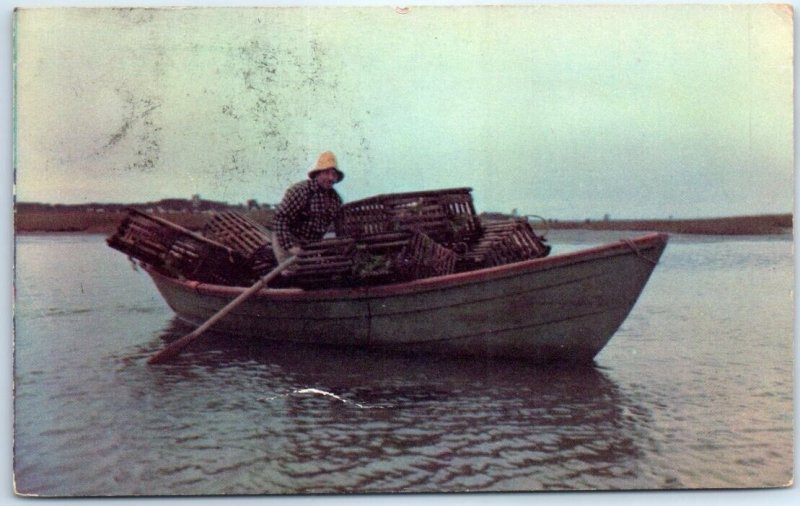 Postcard - A Maine Lobsterman - Maine