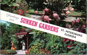 Postcard FL St. Petersburg - Greetings Sunken Gardens - Flamingos and Entrance