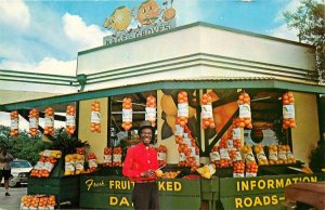 1960s 1960s Nagel Groves Gift Shop Cypress Gardens Florida Postcard 26-601