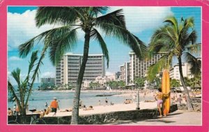 Hawaii Waikiki Beach Showing Sun Bathers and Hotels