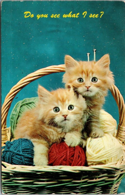 KITTENS Orange Tiger Stripe Tabby  Yarn Basket DO YOU SEE WHAT I C Postcard Cats