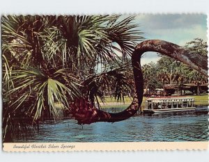 Postcard Beautiful Florida's Silver Springs, Florida