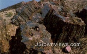 Petrified Forest, Arizona,  