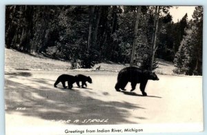 RPPC Greetings from INDIAN RIVER, Michigan MI ~ BEARS ca 1940s Postcard