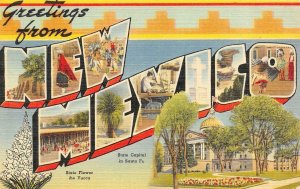 2~Postcards NM New Mexico  LARGE LETTER LINEN & MAP CARD~Roadside Attractions