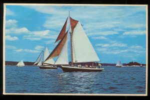 Friendship Sloop Races, Friendship, Maine