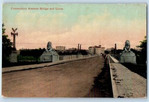 Washington Postcard Connecticut Avenue Bridge Lions Exterior View c1910 Vintage