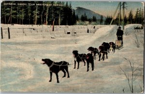 Iditarod, Racing Team Dog Sled Arriving in Seward AK Vintage Postcard D62