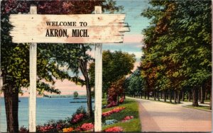 Postcard MI Akron Tuscola County Welcome to Akron Duplex Cancel LINEN 1952 K16