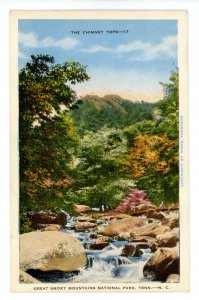 TN - Great Smoky Mountains National Park. The Chimney Tops