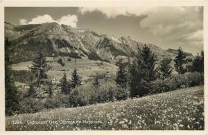 Narcissus field Chateau d` Oex Switzerland real photo postcard