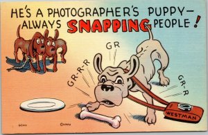 He's a photographer's puppy--always SNAPPING people! postcard