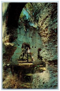 c1960's Ruins of Old White Church St. Helena Island Beaufort County SC Postcard