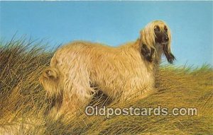 Afghan Hound Dog Unused 