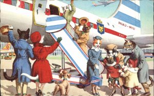 Fantasy Dressed Animals Cats Airplane Dog Mainzer Vintage Postcard