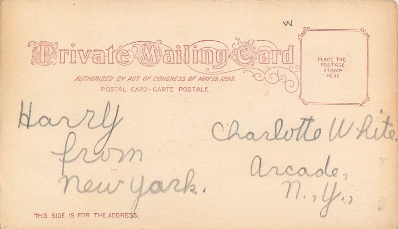 Cooper Square Elevated Railroad New York City 1900 Private Mailing Card postcard