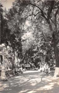 EL ZÓCALO OAXACA MEXICO REAL PHOTO POSTCARD 1950s