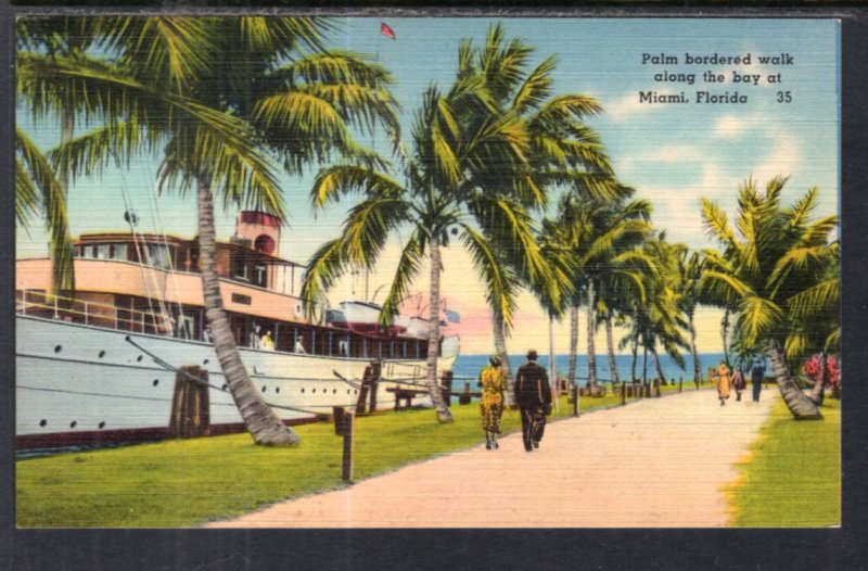 Palm Bordered Walk Along the Bay,Miami,FL