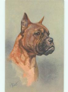 Pre-Linen signed GREAT VIEW OF BOXER DOG AC5218