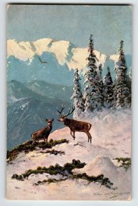 Deer Mountain View Trees Snow Postcard Signed Muller Wildlife HKM 419 Germany