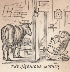 1870s-80s Edwin Soule Bookseller Cow's Tail Tied to Cradle Sandy Creek NY P194