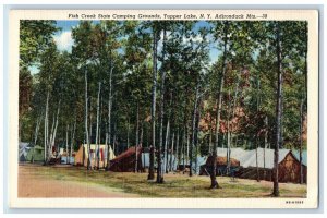 Fish Creek State Camping Grounds Tupper Lake NY, Adirondack Mountains Postcard 