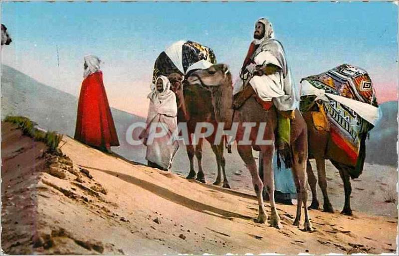CPA Scenes & Types d'Afrique du Nord Caravane dans le desert Chameaux