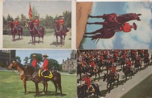 Canadian Mounted Police 4x Postcards incl Stampede Parade