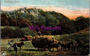 Genealogy Postcard - Walters, Cleave House, Cary Crescent, Torquay, Devon GL3436