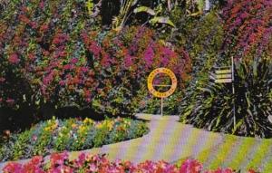 Florida St Petersburg Sunken Gardens Flower Bordered Scenic Path