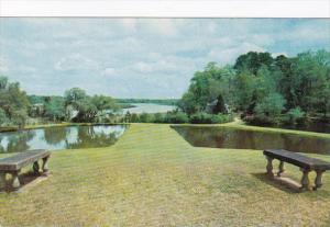 South Carolina Charleston Middleton Gardens Butterfly Pools & Ashley River