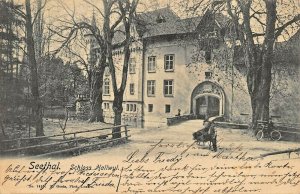 SEETHAL ARGOVIA SWITZERLAND~SCHLOSS HALLWYL~1903 PHOTO  POSTCARD