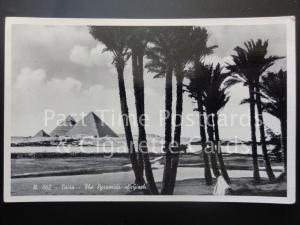Egypt: View of The Pyramids, Old Postcard 