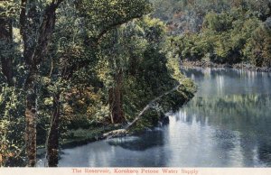 Kokokoro Reservoir Petone Water Supply New Zealand Antique Postcard