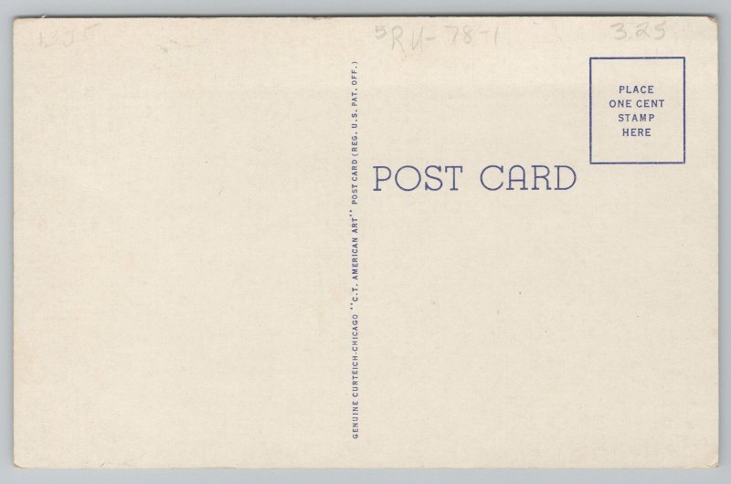 Lexington NebraskaDawson County CourthouseMonumentVintage Postcard