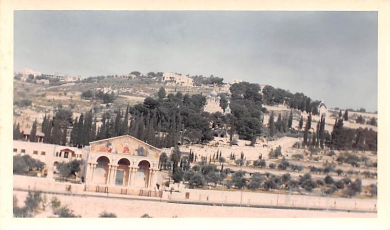 Garden of Gethsemane JerUSA lem Jordan Non Postcard Backing 