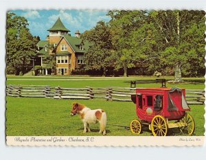 M-156800 Magnolia Plantation and Gardens Charleston South Carolina USA