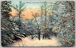 Postcard Point Edward Ontario c1911 Winter Scene Lambton County by Stedman Bros