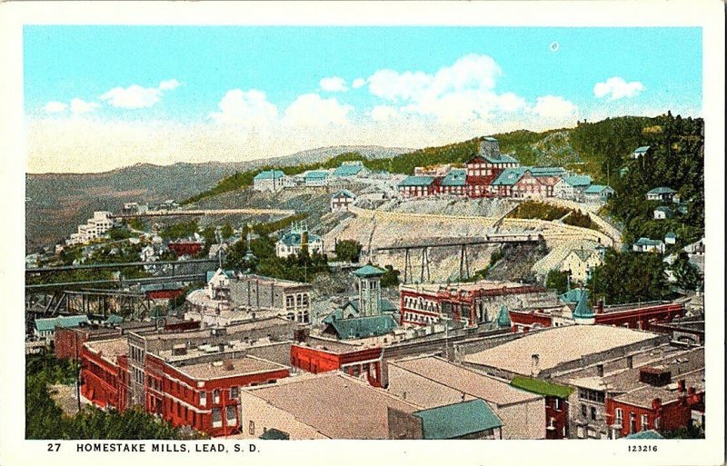 Homestake Mills Lead S. D. South Dakota Vintage Postcard Standard View Card