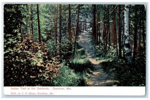 c1905 Scenic View Indian Trail Oaklands Gardiner Maine Vintage Unposted Postcard