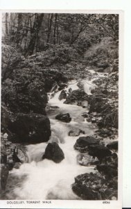 Wales Postcard - Dolgelley - Torrent Walk - Merionethshire - Ref 14891A