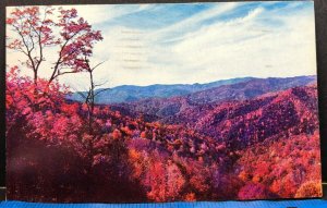 Panoramic Fall Vista 1964 Great Smoky National Park Vintage Postcard