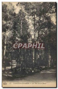 Old Postcard Tamaris sur Mer Les Bois of Rouve