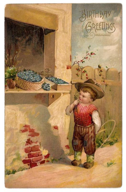 Birthday Greetings Boy Flower Stand Forget Me Nots Postcard