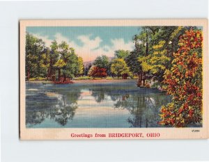 Postcard Greetings from Bridgeport, Ohio