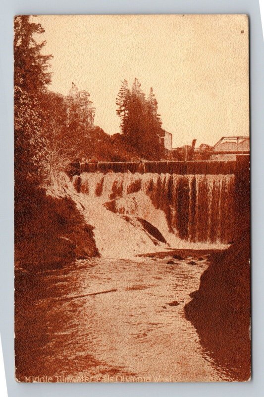 Middle Tumwater Falls Olympia Washington WA 1915 DB Sepia Postcard Q9